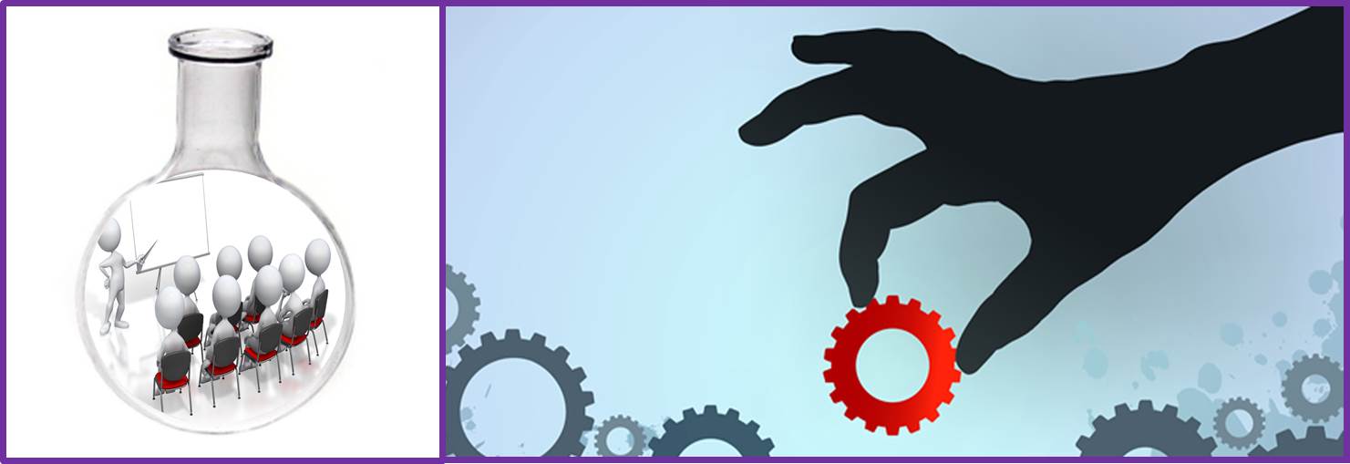 training and development